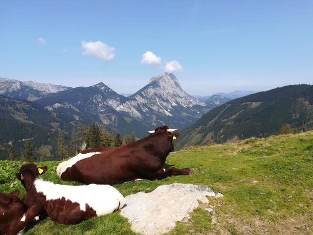 Seekarblick zum Lugauer
