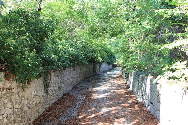 Bis zu diesem Treppelweg soll das Wohnprojekt reichen. Rechts beginnt der denkmalgeschützte Schlosspark von Gainfarn.