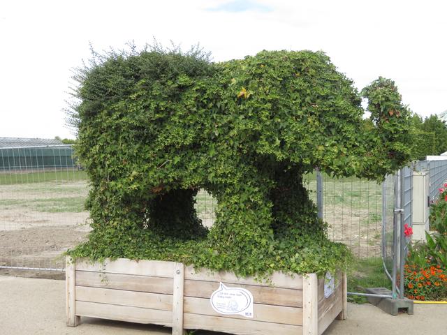 19.09.2020 Der Elefant in Hirschstetten