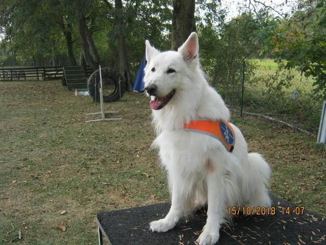 Foto: Bild von Sabine Kleist