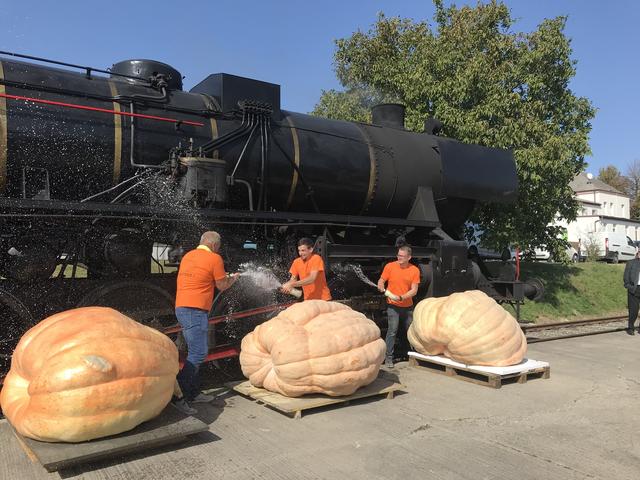 Sieht nach Vorbereitung für eine Kürbisbowle aus, ist aber die feuchtfröhliche Siegesfeier von Franz Mathias (Mitte), vor Schieder Christoph mit 558 kg und Friedrich Melka mit 534,5kg.