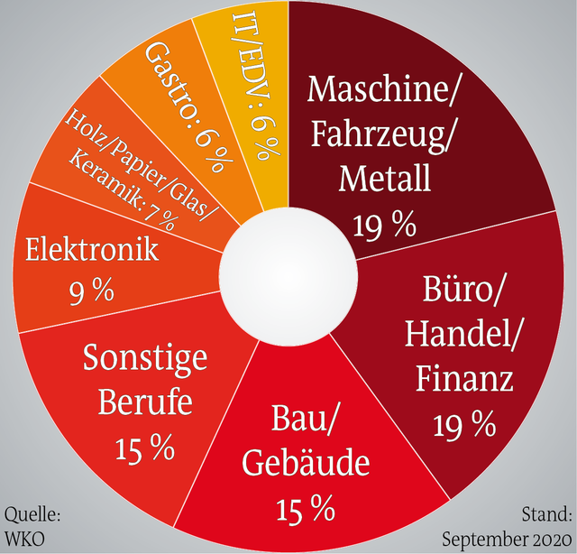 Die beliebtesten Lehrberufe: In diesen Branchen gibt es aktuell Lehrbetriebe im Bezirk Deutschlandsberg.