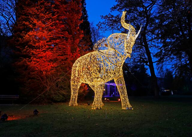Aussergewöhnliche Lichtinstallationen im Hofgarten.