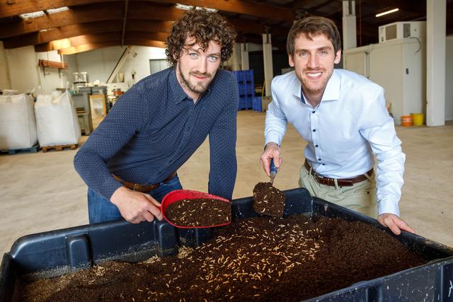 Die beiden Ecofly-Gründer Michael Forster (l.) und Simon Weinberger mit einer Box voller Larven der „Schwarzen Soldatenfliege“. | Foto: VIVATIS