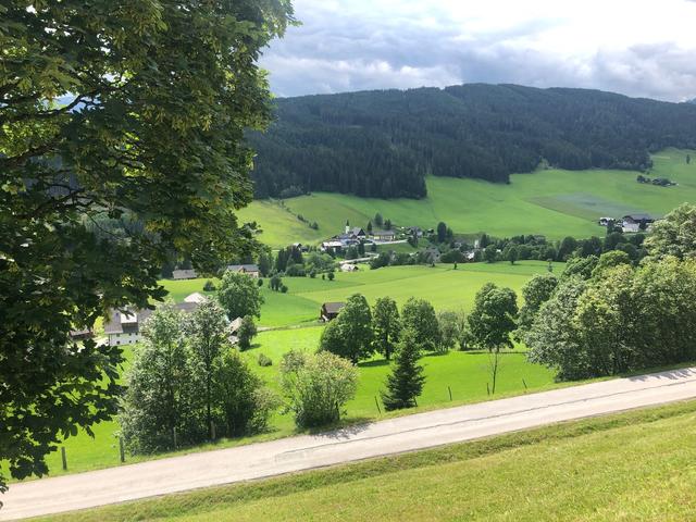 Erste bestätigte Risse durch einen Goldschakal gibt es in Salzburg in Göriach (Ortskernaufnahme ist im Bild zu sehen). Das Tier ist kleiner, aber ähnlich geschützt wie der Wolf. Kaum Gefahr für Nutztiere sieht man von Seiten des Landes Salzburg.
