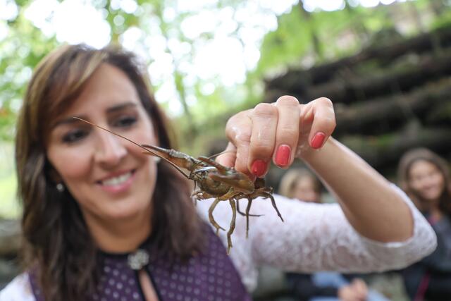 Landesrätin Maria Hutter mit einem putzigen kleinen Steinkrebs.