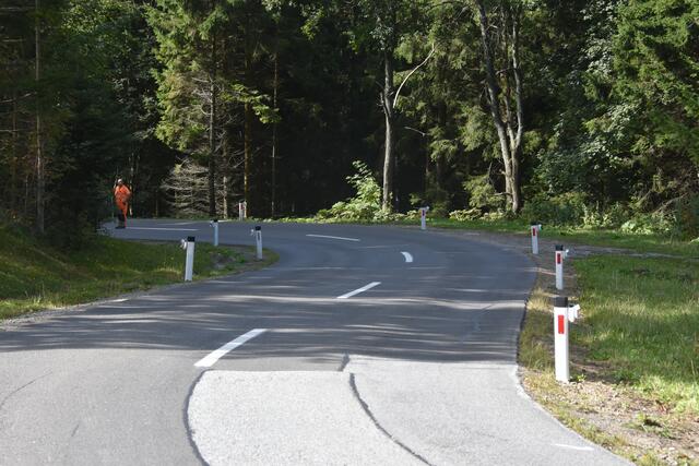 Entlang der 600 Meter langen Teststrecken sind die Wildwarn-Blinker an den Straßenpfosten montiert worden.