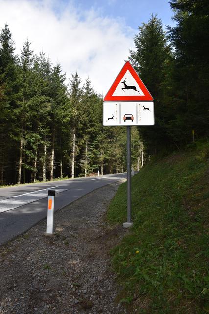 Dieses Schild erklärt kurz und leicht verständlich die blinkenden Wildwechsel-Anzeiger .