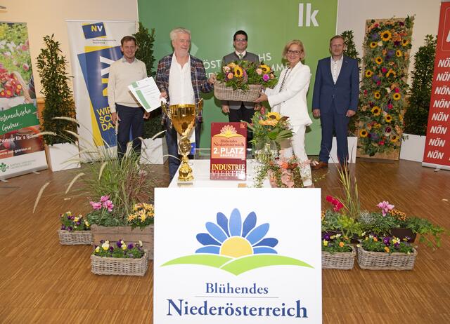 Ehrenpreis für Kirchberg am Wechsel. | Foto: Erich Marschik