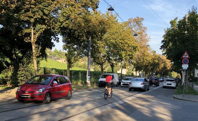 Radfahrer radeln schon jetzt zwischen den Schienen. Die SPÖ wollte als ersten Schritt Piktogramme auftragen lassen. In der Bezirksvertretungssitzung fand das keine Mehrheit.
