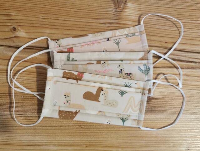 Im Pramtal Alpaca Hofladen gibt's süße Alpaka-Masken für Kinder und Erwachsene. Kids-Masken kosten 10 Euro, jene für Erwachsene 12 Euro.