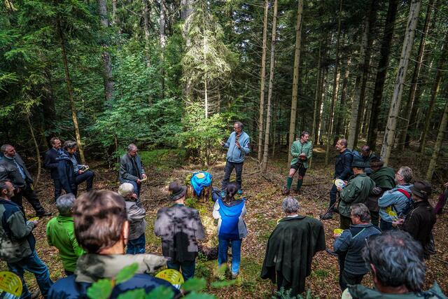 Besichtigung ausgewählter Flächen im Waldbetrieb Ligist des Souveränen Malteser-Ritter- Orden
