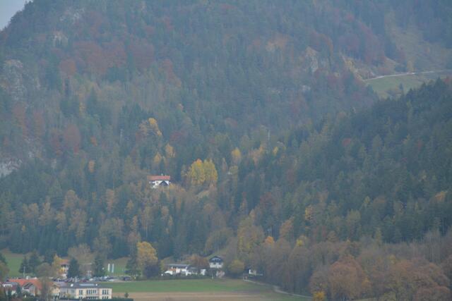 Der Wald im Kaisertal und seine Bewirtschaftung wurden zum Streitthema in Kufstein.