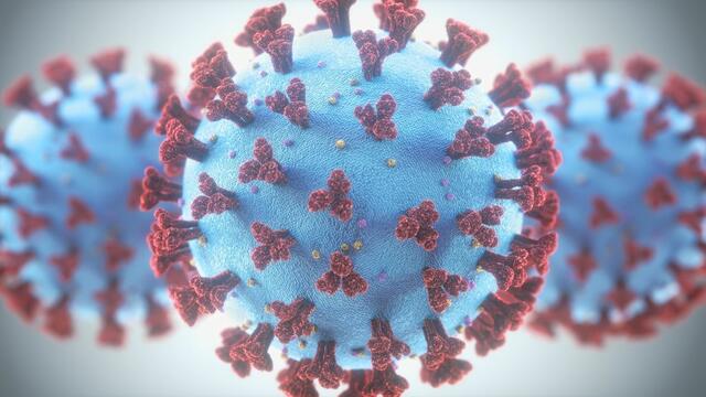 Das neuartige Corona-Virus SARS-CoV-2 bestimmt den Alltag der Österreicher bereits seit Mitte März diesen Jahres.