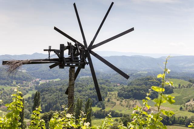 Das südsteirische Weinland