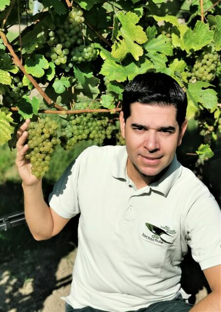 Für Florian Hanousek passen Ertrag und Qualität beim Grünen Veltliner.