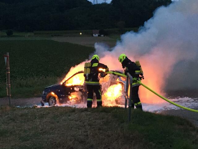Die Florianis konnten den Brand rasch bekämpfen.