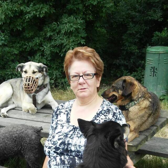 Monika Brunner hat außer ihrer Tätigkeit als Wahlbeisitzerin auch noch andere Hobbies: Hunde.