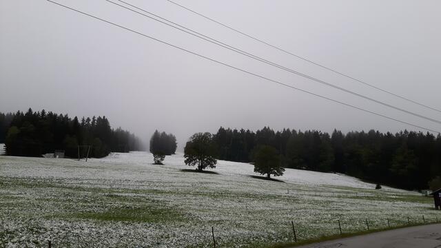 Frau Holle übt schon für den Winter