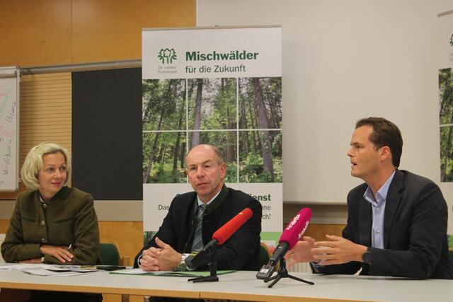 Die Referenten sprachen von einem eher "entspannten" Borkenkäfer-Jahr.