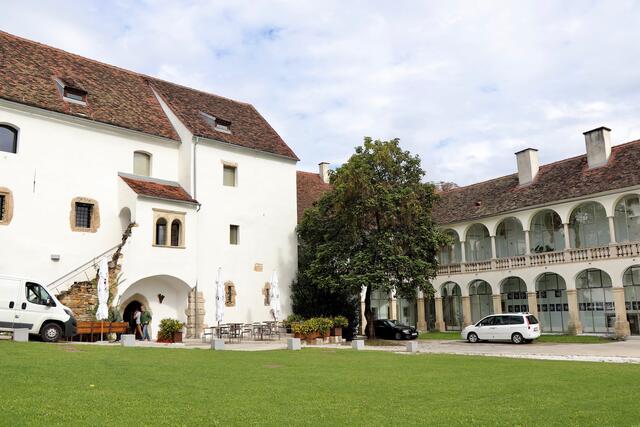 Grüne und Unabhängige entfachen Diskussion um das Schloss Hartberg. | Foto: Alfred Mayer