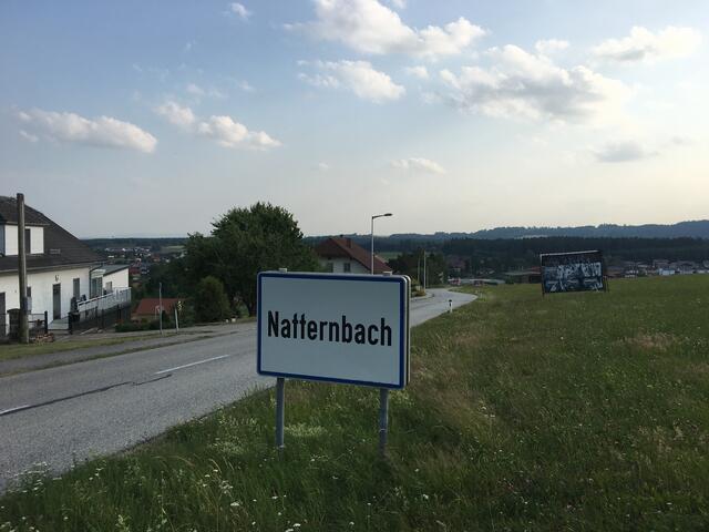 Unfall in Natternbach: Der 16-Jährige stürzte und erlitt Verletzungen unbestimmten Grades.