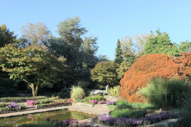 Botanischer Garten Linz Der Herbst zeigt Farbenpracht Linz