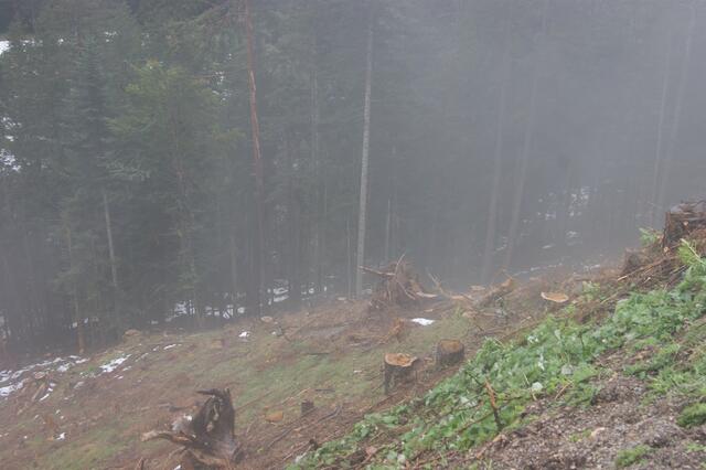 Vor gut zwei Jahren hinterließ ein Föhnsturm eine Spur der Verwüstung in Saalfelden.