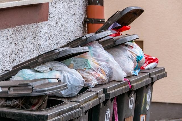 Genießbare Lebensmittel landen häufig in der Mülltonne. Österreichs Haushalte werfen 521.000 Tonnen wertvolle Nahrungsmittel weg.