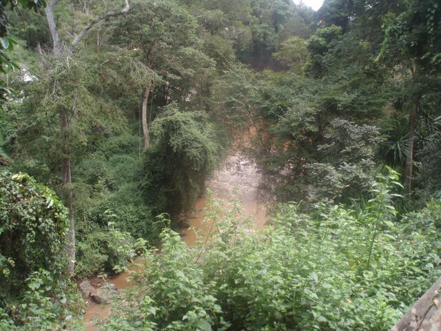 Mayi Mayala hat ihren Lebensgefährten Siegfried Hackl in ihrer Heimat Kinshasa kennengelernt. | Foto: Mayi Mayala