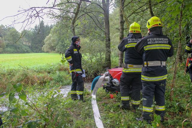 Foto: Sebastian Denkmayr