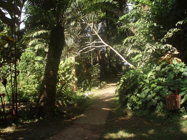 Mayi Mayala hat ihren Lebensgefährten Siegfried Hackl in ihrer Heimat Kinshasa kennengelernt. | Foto: Mayi Mayala
