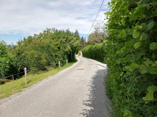 Idyllisch gelegen, aber schmal: Wenn am Pachernweg der Schwerverkehr rollt, haben andere Verkehrsteilnehmer das Nachsehen.