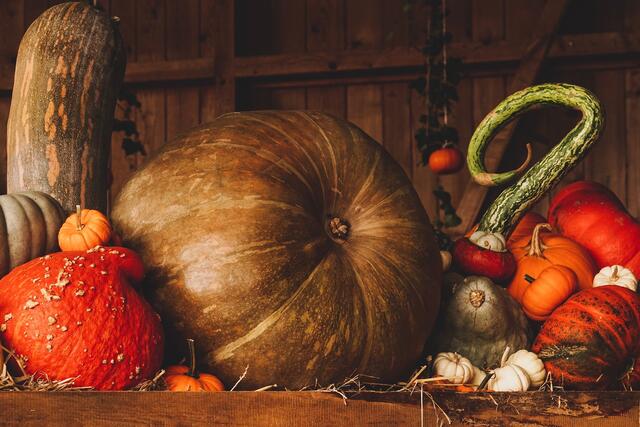 Herbstzeit ist Erntezeit! Deshalb wurde bei Kursana Residenz traditionell der eingebrachten Ernte gedacht.