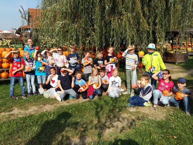 Die Volksschüler besuchten die Kürbisranch in Asperhofen.