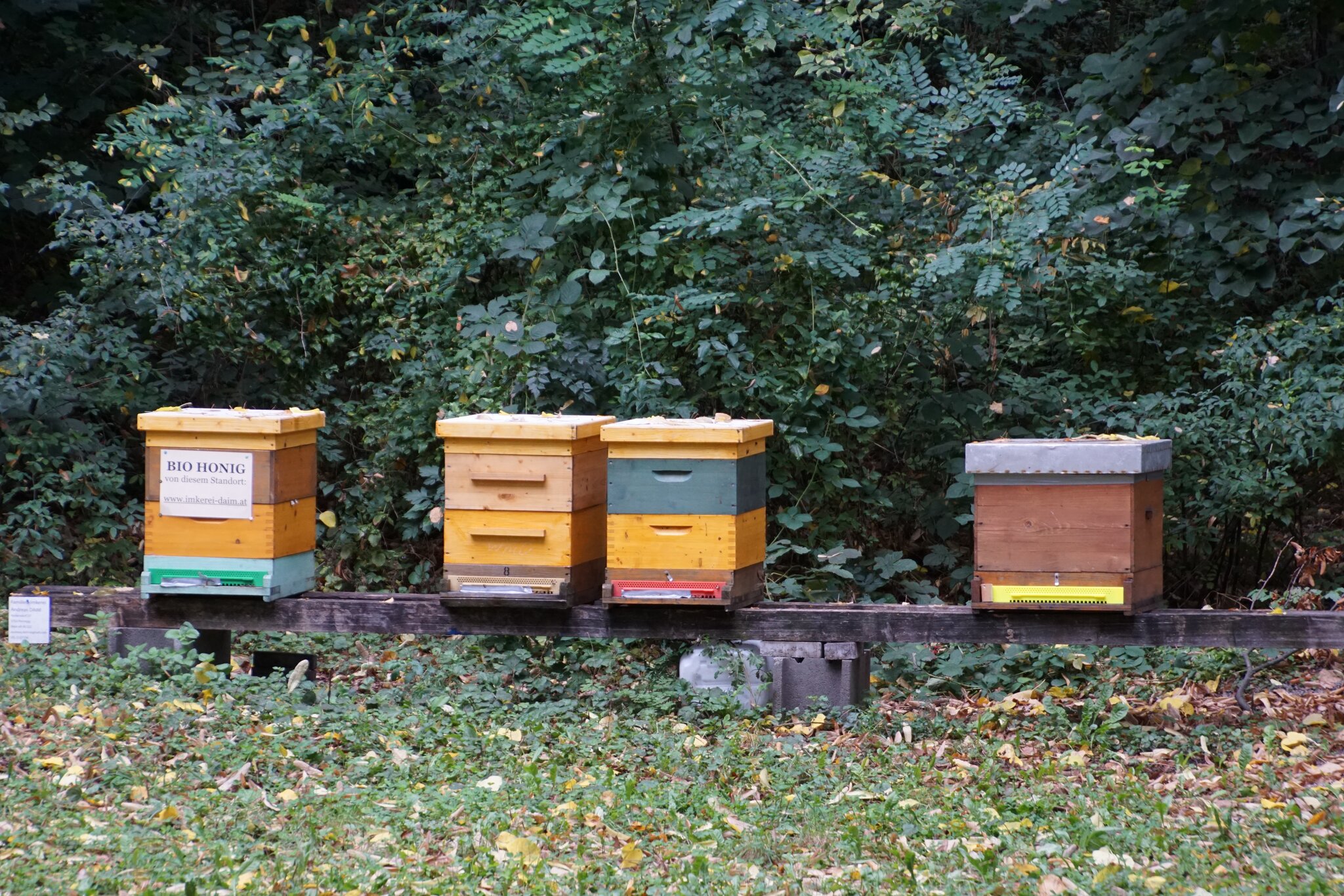 Parkanlagen Hugo Wolf Park Liesing