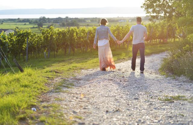 Romantik pur: Wandern im Herbst am Neusiedler See
