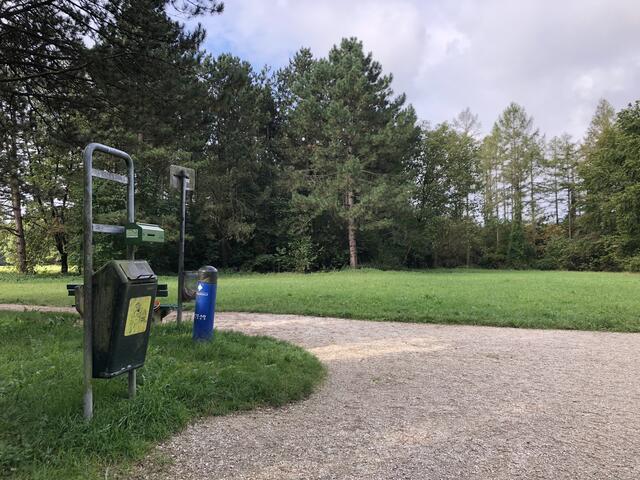 Richtig viel Platz für Fellnasen – die Freilauffläche im Linzer Wasserwald.