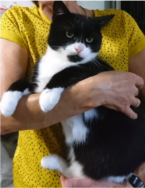 Blacky wird vermisst