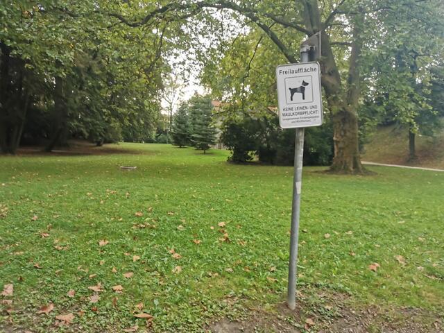 Naturerlebnis ganz nach an der Innenstadt – Im Bauernbergpark dürfen Hunde leinenlos herumtollen.