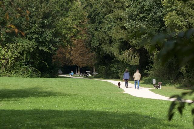 Freilaufzone im Heilhamerpark in Urfahr.