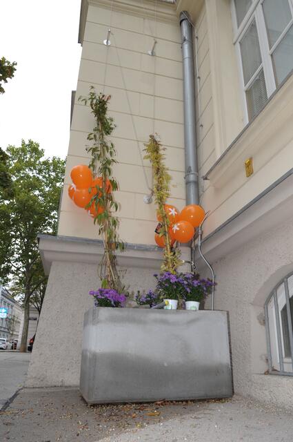 Die Volksschule Mengergasse ist mit zwei BeRTA-Pflanzmodulen mit Rankhilfen ausgestattet.