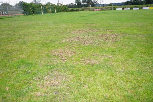 Der Mogersdorfer Sportplatz ist durch einen Wildschweinangriff arg in Mitleidenschaft gezogen worden.
