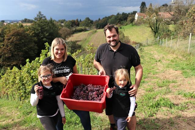 Georg und Anna Thünauer mit ihren Töchtern Isabella und Helene bei der ersten Weinlese auf ihrem Weinberg in Mellach.
