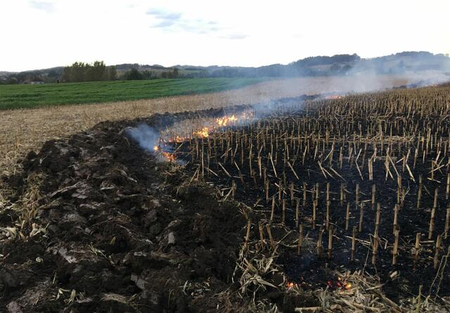 Dank Einsatzes von Löschrohren, Feuerpatschen und Traktor samt Pflug, der eine Feuerschneise um das Feld zog, konnte die Ausbreitung verhindert werden.