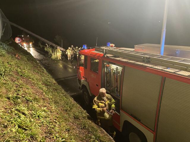In Gries stand die Feuerwehr in der Nacht auf Samstag wegen umgestürzter Bäume im Einsatz.