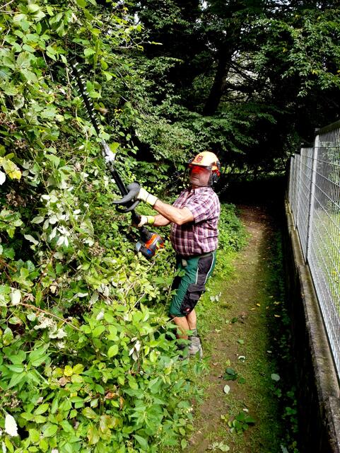 Franz Dick, Wegebetreuer der Sektion Wienerwald, erledigte die Auslichtung.