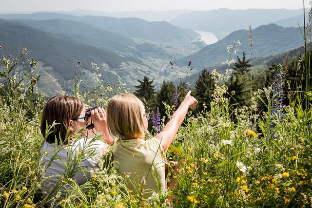 Vielfalt erhalten durch die gezielte Pflege durch die Landwirte, die sich im Naturpark, um die Wiesen kümmern.