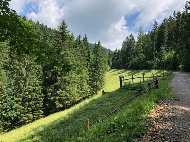Die unberührte Natur im Gemeindegebiet rund um St. Kathrein am Offenegg lädt zum Wandern, Krafttanken und Seelebaumeln ein.