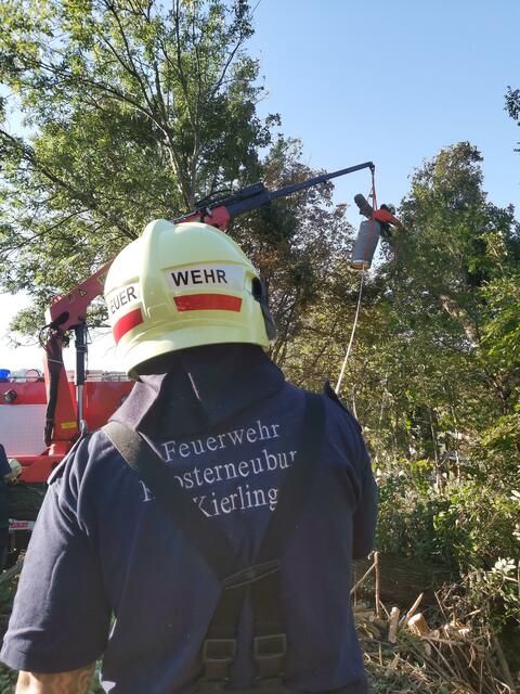Baum drohte auf Stromleitung und Straße zu fallen - Feuerwehr Kierling schritt ein.